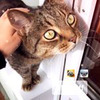 фотография Оксана Флаф фотография Оксана Флаф