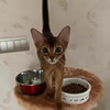новое фото Екатерина Весна новое фото Екатерина Весна