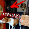реклама у блоггера _ellidi реклама у блоггера _ellidi