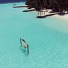фотография Алеся Липилина фотография Алеся Липилина