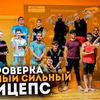 заказать рекламу у блогера exfibra заказать рекламу у блогера exfibra