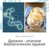 разместить рекламу в блоге Джессика Андреева разместить рекламу в блоге Джессика Андреева