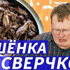 новое фото redbotan новое фото redbotan