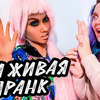 разместить рекламу в блоге PeReC Fly разместить рекламу в блоге PeReC Fly