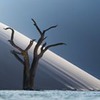 фото на странице Иван Смелов фото на странице Иван Смелов