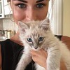 реклама в блоге Мила Голландцева реклама в блоге Мила Голландцева
