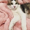 лучшие фото Swasti Ji лучшие фото Swasti Ji