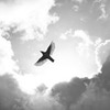 заказать рекламу у блоггера Юлия Фрейд заказать рекламу у блоггера Юлия Фрейд