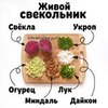 фотография Юлия Братишка фотография Юлия Братишка