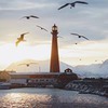 реклама у блоггера Илья Воскресенский реклама у блоггера Илья Воскресенский
