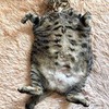 разместить рекламу в блоге Марина Михина разместить рекламу в блоге Марина Михина