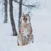 реклама на блоге Илья Воскресенский реклама на блоге Илья Воскресенский