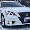 фотография siberian_beard фотография siberian_beard