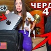 фотография _ellidi фотография _ellidi