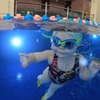 разместить рекламу в блоге Саша Коршун разместить рекламу в блоге Саша Коршун