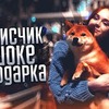 разместить рекламу в блоге Виктория Писарева разместить рекламу в блоге Виктория Писарева