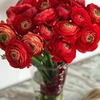 реклама на блоге Анна Белоцерковец реклама на блоге Анна Белоцерковец