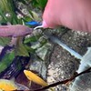 лучшие фото Анастасия Кондрашова лучшие фото Анастасия Кондрашова