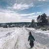 реклама на блоге Катерина Шикина реклама на блоге Катерина Шикина