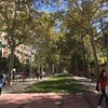 лучшие фото Екатерина Никулина лучшие фото Екатерина Никулина