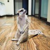 лучшие фото Кристина Штарева лучшие фото Кристина Штарева