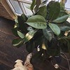 фотография Алина Тапилина фотография Алина Тапилина
