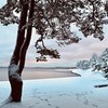реклама на блоге Александра Негина реклама на блоге Александра Негина