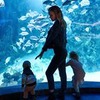 лучшие фото Лара Филонова лучшие фото Лара Филонова