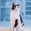 фотография Кристина Макеева фотография Кристина Макеева