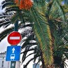 фото на странице Ульяна Петрухина фото на странице Ульяна Петрухина