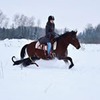 реклама на блоге Саша Твердохлебова реклама на блоге Саша Твердохлебова