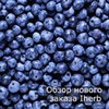 фото Юлия Леночкина фото Юлия Леночкина