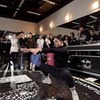 новое фото Дарья Ролик новое фото Дарья Ролик