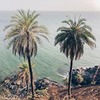 фото на странице Анико Йога фото на странице Анико Йога