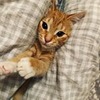 фотография Анастасия Рубленко фотография Анастасия Рубленко