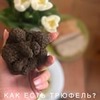 новое фото Диана Джалалова новое фото Диана Джалалова