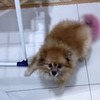 лучшие фото Марина Тоцкая лучшие фото Марина Тоцкая