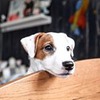 новое фото Катя Климонова новое фото Катя Климонова