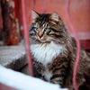заказать рекламу у блоггера Роман Вуколов заказать рекламу у блоггера Роман Вуколов