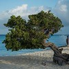 реклама в блоге Илья Варламов реклама в блоге Илья Варламов