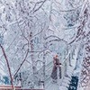 фотография Евгения Чугунова фотография Евгения Чугунова