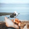 разместить рекламу в блоге Biblik Жадан Александр разместить рекламу в блоге Biblik Жадан Александр