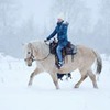 заказать рекламу у блоггера Саша Твердохлебова заказать рекламу у блоггера Саша Твердохлебова
