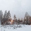 фотография Надежда Сокирская фотография Надежда Сокирская