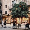 реклама в блоге Яна Коровашкина реклама в блоге Яна Коровашкина