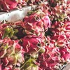 фотография Дарья Садовая фотография Дарья Садовая