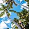 реклама на блоге Катя Пикулина реклама на блоге Катя Пикулина