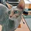заказать рекламу у блоггера Татьяна Веселова заказать рекламу у блоггера Татьяна Веселова