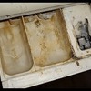 фото на странице elenamatveevabloger фото на странице elenamatveevabloger