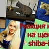 фотография mrsmilavy фотография mrsmilavy